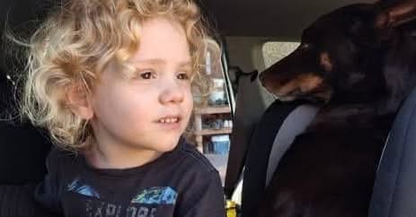 Gus Lamont Missing, South Australia